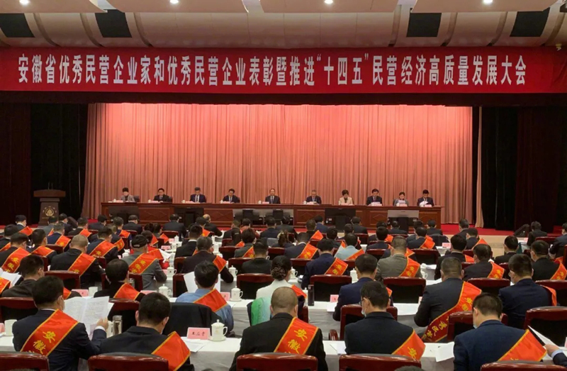 喜訊！元琛科技總經(jīng)理梁燕被授予“安徽省優(yōu)秀民營企業(yè)家”稱號